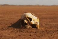 Acaba de llegar a Netflix y ya está en el top 10: una de las mejores películas apocalípticas de acción