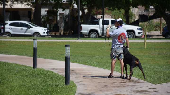 Martes caluroso: la máxima será de 33°C en San Juan