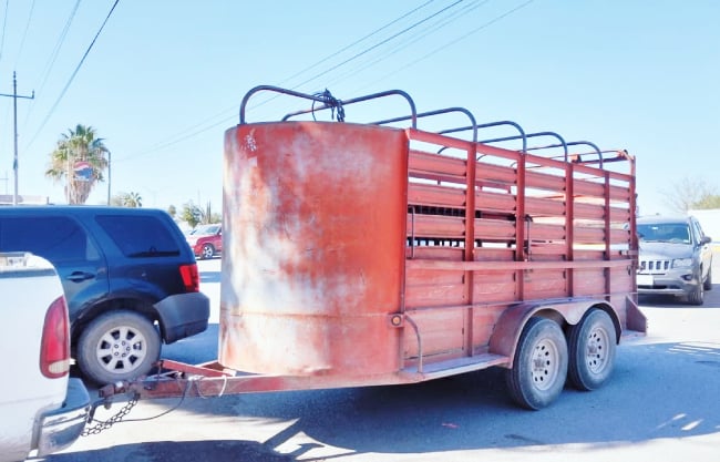 Investigan caso de abigeo