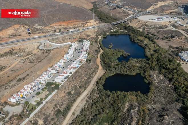 “La fauna espera una nueva oportunidad”: activista advierte sobre deterioro de arroyo Alamar