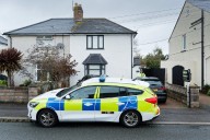 Breed of ‘family’ dog that savaged nine-month-old baby boy to death confirmed