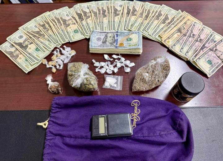Henry Co. deputies conduct drug bust