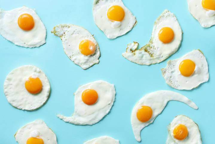 How Much Protein Your Body Can Really Absorb at Once