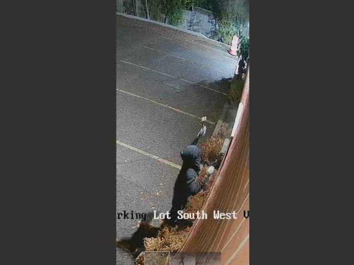 Toronto synagogue targeted by antisemetic vandal 10th time