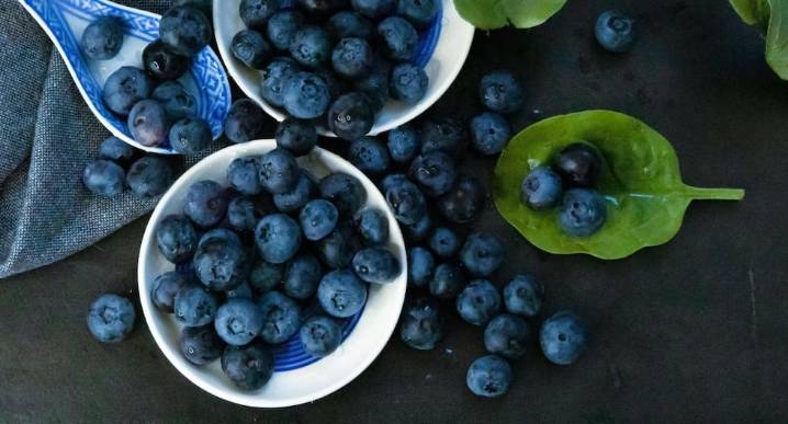 Cerro Prieto mira un 2026 al alza con impulso de arándanos y paltas, ¿y los espárragos?