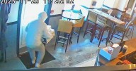 Bizarre footage catches greedy thug swiping £300 in meat from Glasgow bar