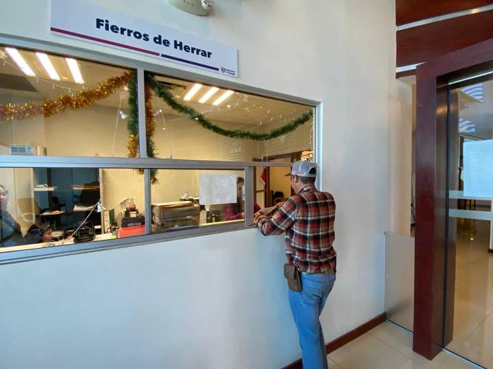 Registra SDR más de 34 mil micas de fierro de herrar revalidadas en lo que va del año