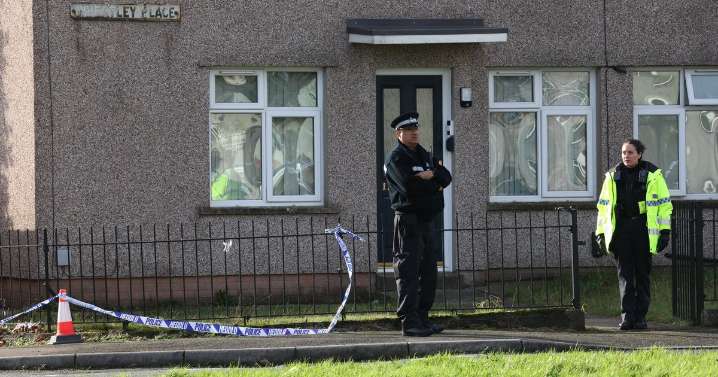 Teen girl stabbed to death inside home as mum left seriously injured