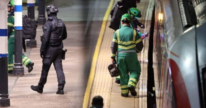 Nueve personas heridas tras ataque con arma blanca en tren del Reino Unido; hay dos detenidos