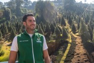 Impulsa Verde Edoméx comercio local de árboles de Navidad