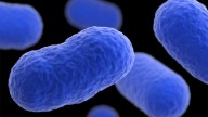 A multistate listeria outbreak is linked to 6 deaths. What people should know