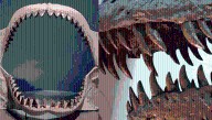 Megalodon VS T. Rex: Who Had The Biggest Teeth?