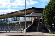 Man Charged with Animal Cruelty After Allegedly Leaving 2 Dogs Inside Bike Locker