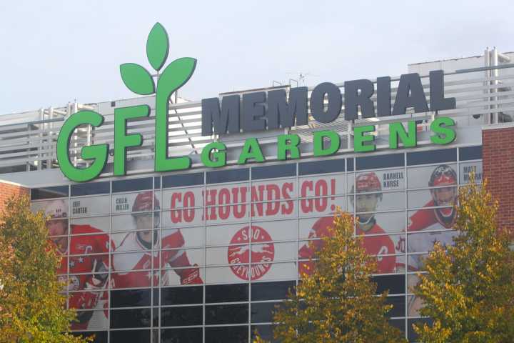 Soo Greyhounds warn of email scam targeting local businesses