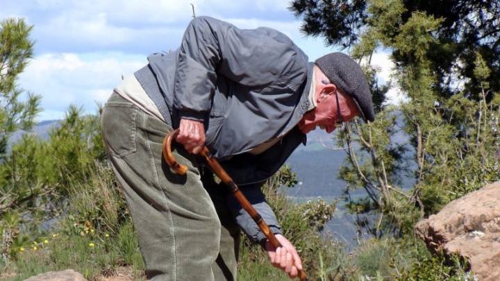 “Don’t Put All Your Abes in One Basket”: 10 Mennonite Idioms