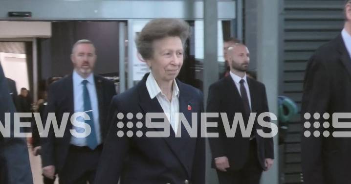 Princess Anne touches down in Sydney ahead of royal tour