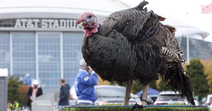 NFL teams as Thanksgiving dishes