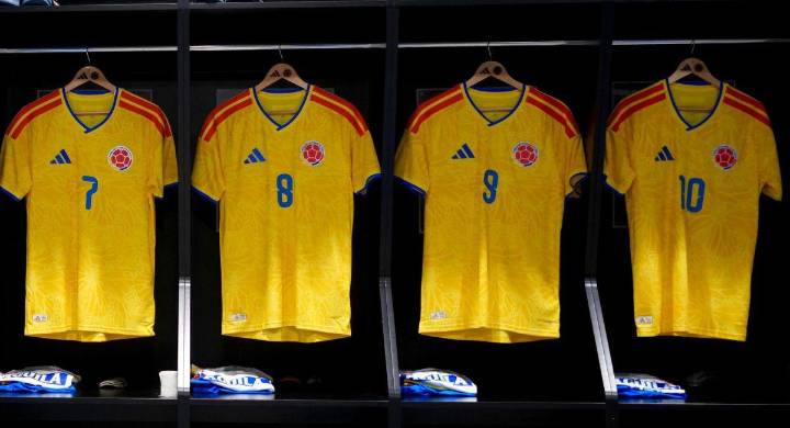 Polémica en la Selección Colombia: resistido personaje posó con la nueva camiseta de la 'Tricolor'
