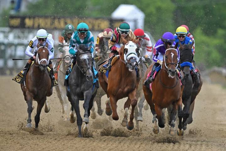 Moore signs order to chart future of Maryland’s horse industry