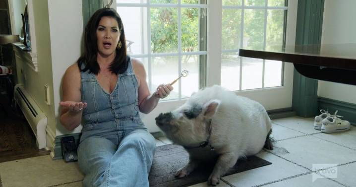 ‘Wife Swap: The Real Housewives’ Recap: Emily on the Farm