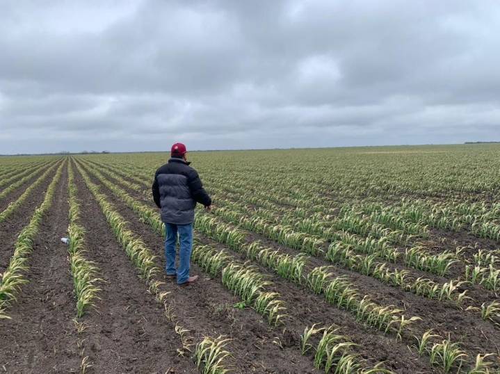 Transportistas se unen al paro nacional de agricultores del próximo lunes 24: prevén cierre de carreteras y puentes internacionales