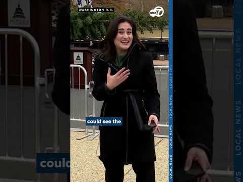 US Capitol Christmas Tree arrives in DC, marking 61st anniversary of the tradition