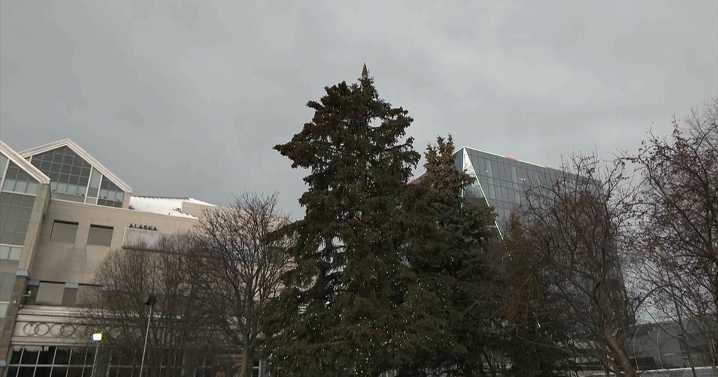 Anchorage to kick off holiday season with downtown tree lighting on Saturday