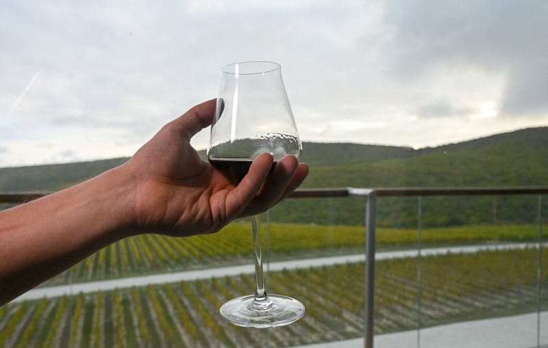 Western sanctions force Russians to turn to domestic wines 