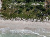 Profepa detiene trabajos irregulares en predios dentro de la Reserva Ría Celestún