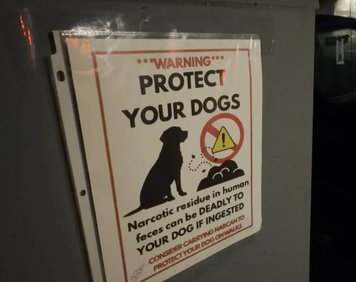 Dog tests positive for meth after morning walk