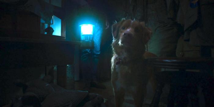 Fantasia Review: We're All in the Haunted Dog House With 'Good Boy'