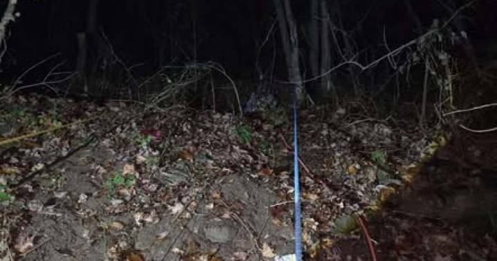 Rescue team saves dog and owner after both fall over cliff at lake