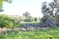 El Ayuntamiento propone construir la primera piscina pública de Huelva en la parcela de la antigua Casa Duclós