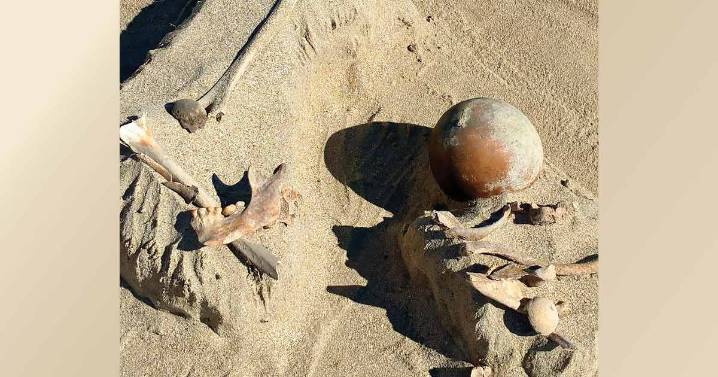 Ubican un entierro prehispánico en Sonora