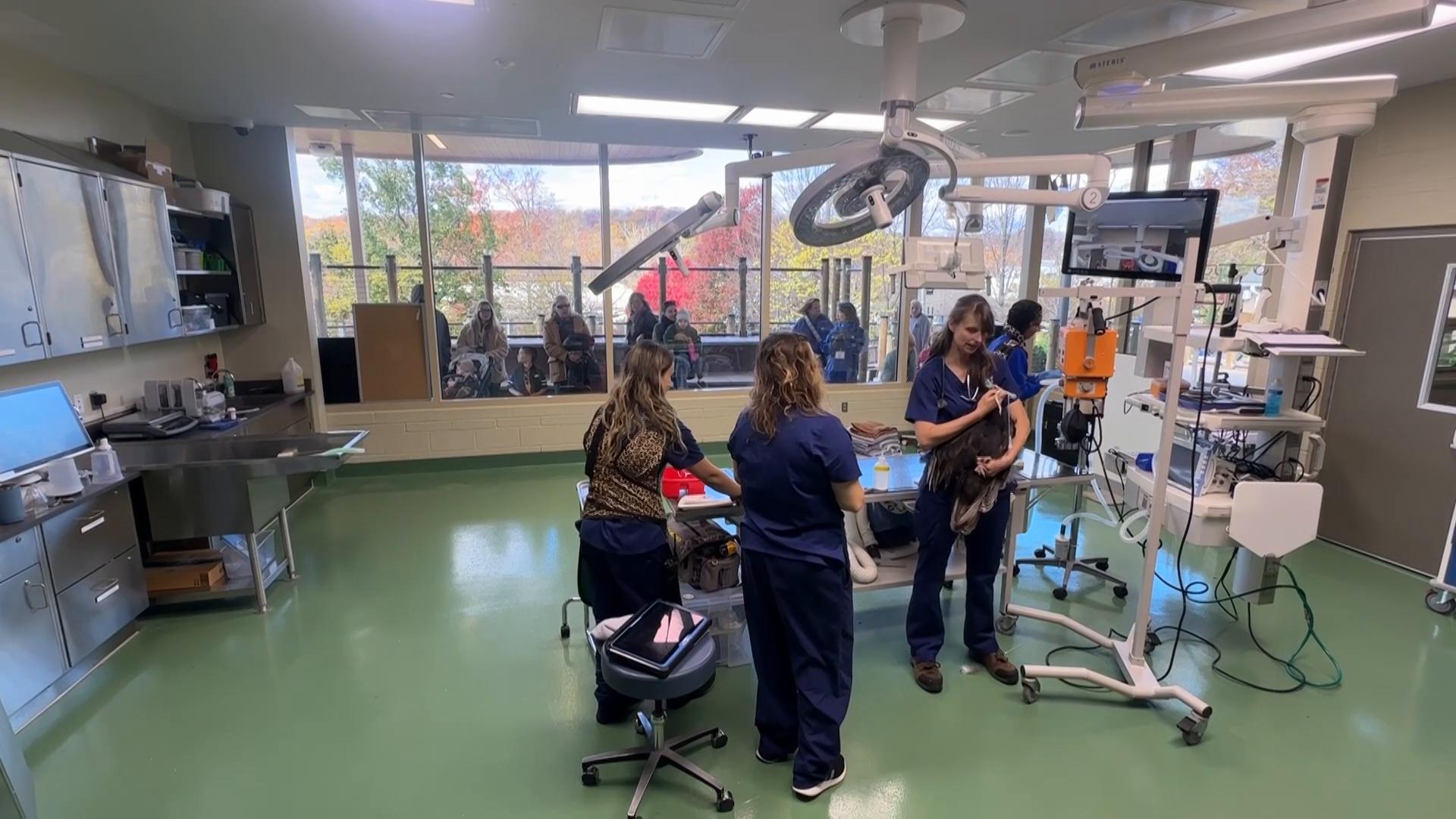 Visitors to a New Jersey zoo get to watch veterinarians treat the animals