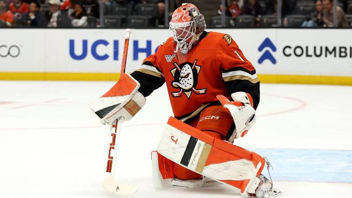 Ducks goalie Lukas Dostal out 2-3 weeks with upper