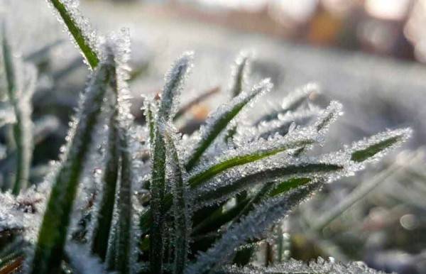 Frente frío 12 deja heladas en la sierra y clima templado en el resto del estado