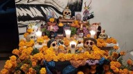 Coco inspira ofrenda en Cuautla: Una historia de recuerdos y Día de Muertos
