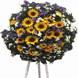 GIRARDO LUIS HORACIO