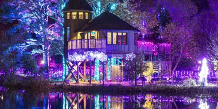 Dominion Energy GardenFest of Lights returns to Lewis Ginter Botanical Gardens
