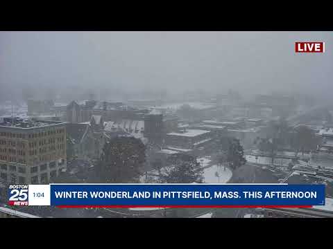 Snow cam: Flakes are flying in Pittsfield, Mass. this afternoon.