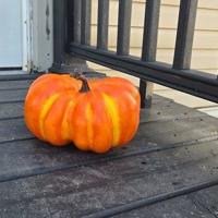 Halloween a little busier than usual for police