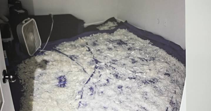 Large meth lab uncovered inside north Bakersfield home; five arrested