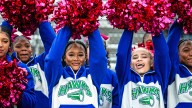 Delaware Online announces winner in best Class 3A cheerleading squad poll