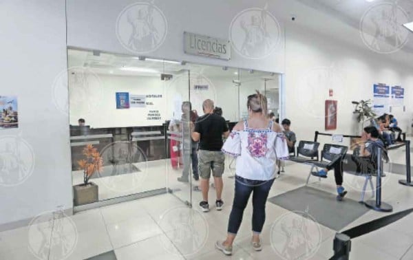 Capacitarán a agentes sobre licencias digitales