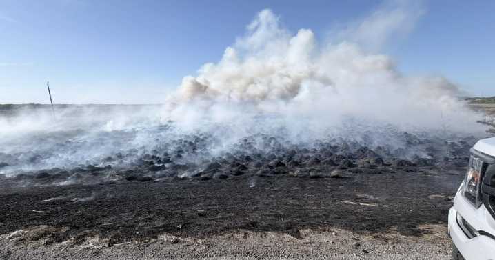 Fire crews responding to vegetation fire in Odem near US 77