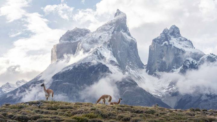 Mexicano fallecido, coreana en estado crítico y británica desaparecida: Lo que se sabe de la tragedia en Torres del Paine