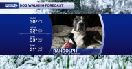 Small Business Saturday Dog Walking Forecast: Snow returns tonight