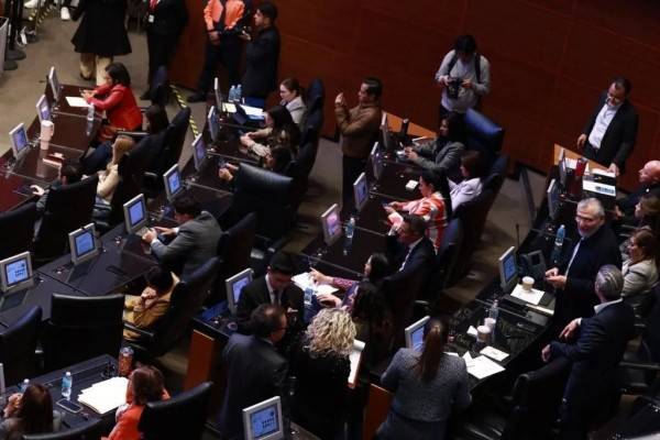 Avala Senado renuncia de Gertz por 'causa grave'