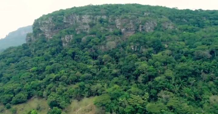 Colombia y Brasil destruyen 14 máquinas utilizadas para la minería ilegal en la Amazonía